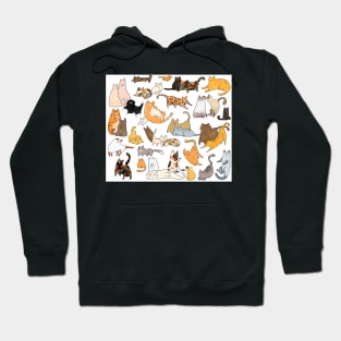 Cat Breeds Pattern Hoodie